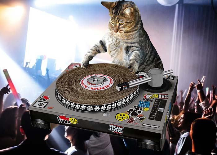 Cat is the DJ | Old school Turntable Vinyl LP | Music | Sticker